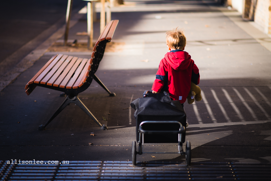 Toddler boy in Pyrmont