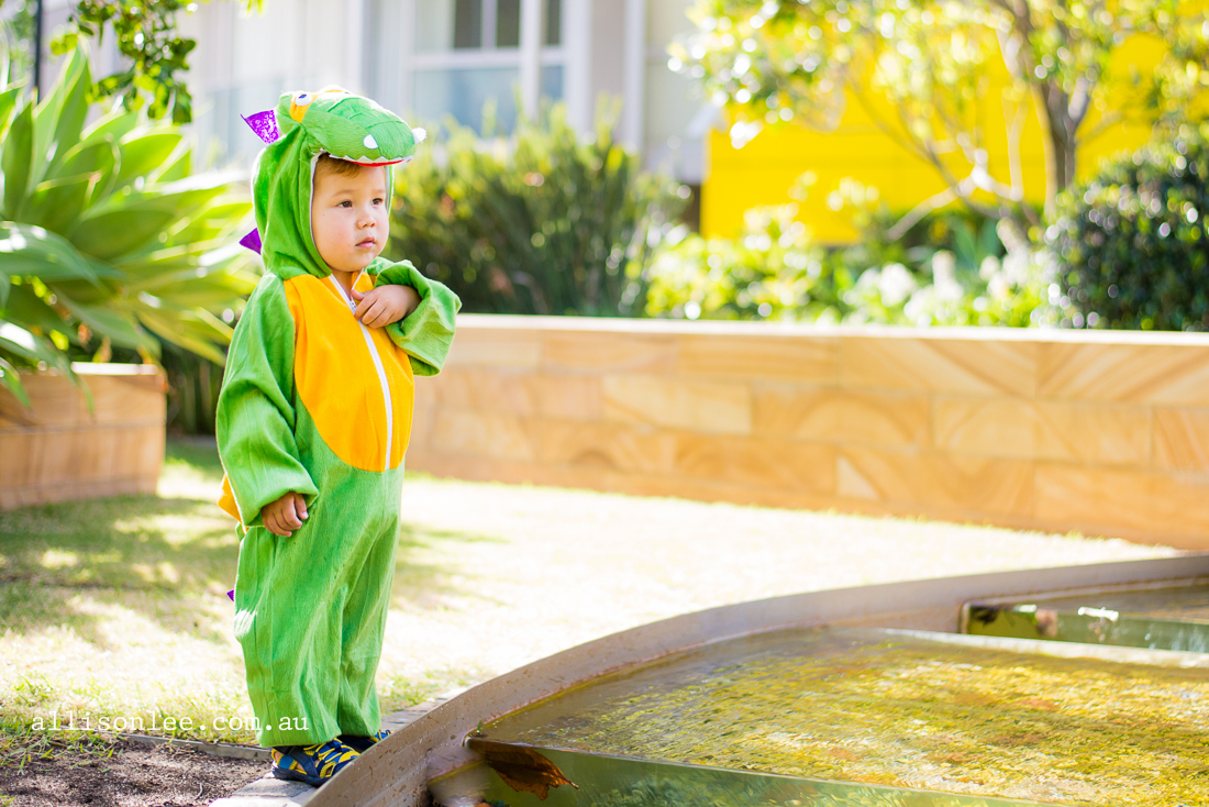 Child dressed as crocodile for Halloween