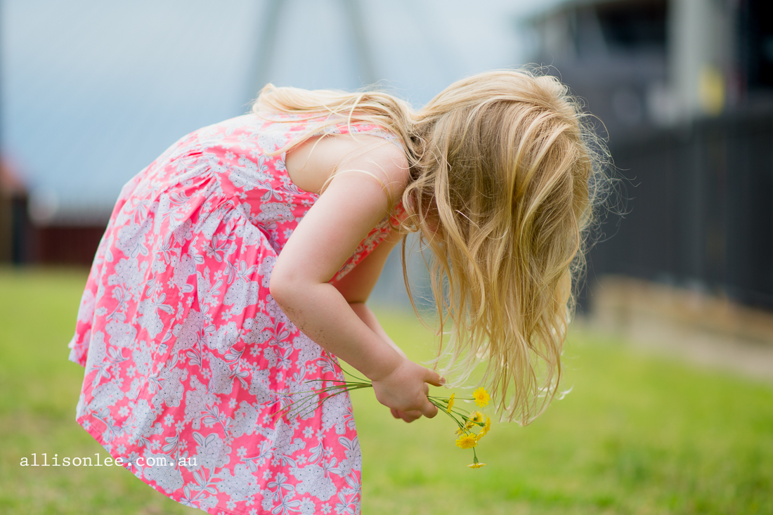 Four year old blonde girl picking flowers in Pyrmont