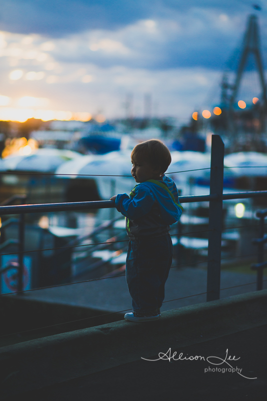 Little boy at sunset at the Sydney Fish Market