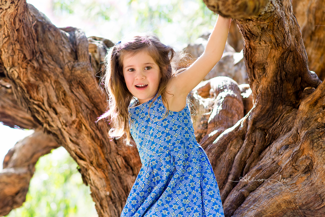 Portrait of little girl climbing tree in Sydney